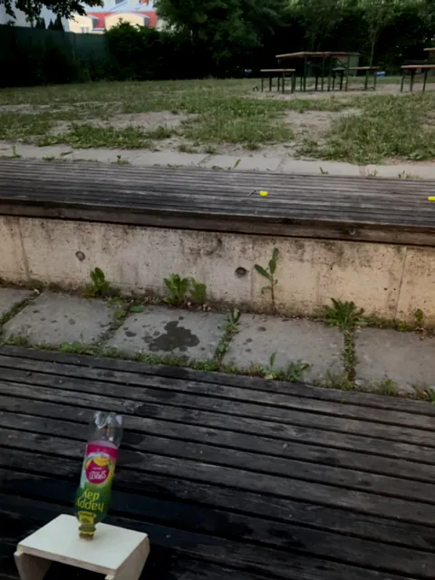 eine Plastikflasche ist auf eine Holzrampe gesteckt, im Hintergrund sieht man eine Wiese