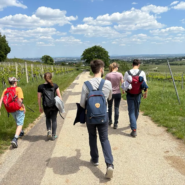 eine Gruppe von 5 Jugendlichen geht bei Sonnenschein einen breiten Feldweg entlang. Sie gehen von der Kamera weg, haben Rucksäcke und Sommerkleidung an